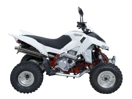 Квадроцикл QuadRaider 450