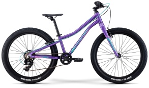 Велосипед Merida 2022 Matts J24+ Eco Р:One Size DarkPurple/PalePinkTeal