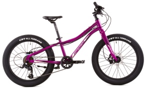 Велосипед Merida Matts J.20+ Pro Рама:One Size Purple/BlackChampagne