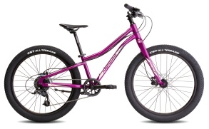 Велосипед Merida Matts J.24+ Pro Рама:One Size Purple/BlackChampagne