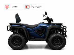 Квадрицикл SSSR 350 WR синий/черный