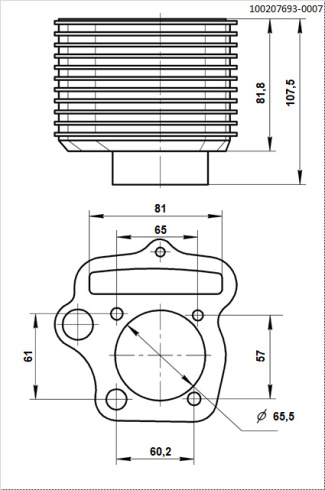 Цилиндр [100207693-0007] BSE ZS166FMM ZS165FMM