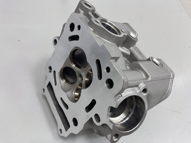Корпус ГБЦ в сборе BSE ZS174MN-5A