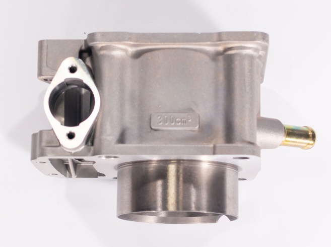 Цилиндр в сборе BSE ZS174MN