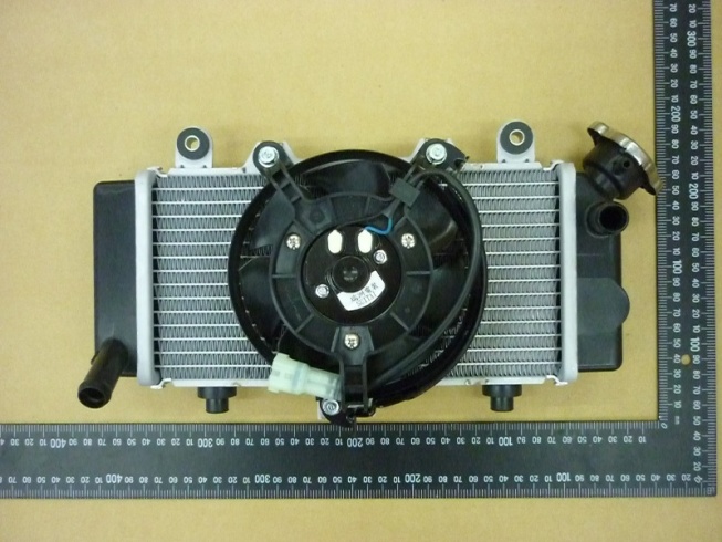 Радиатор системы охлаждения с вентилятором в сборе SYM Wolf 250
