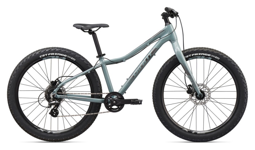 Велосипед Giant XtC Jr 26+ 2020, 26" размер: OneSizeOnly, цвет: серый