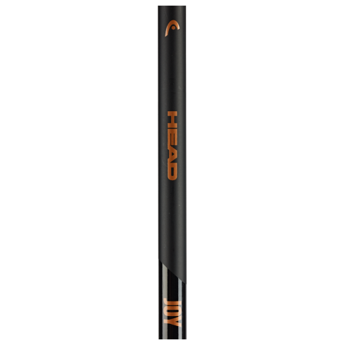 Горнолыжные палки HEAD 2020 Joy  16 mm black gold 115