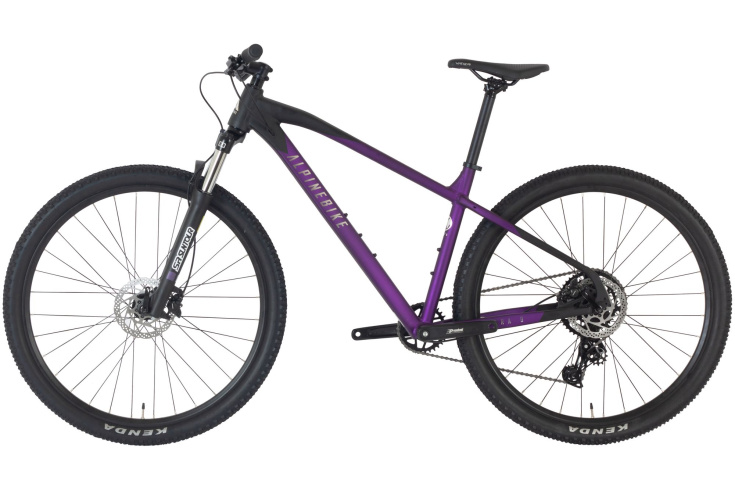 Велосипед горный Alpinebike Terra 9 фиолетовый космос