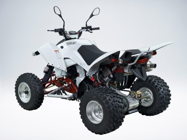 Квадроцикл QuadRaider 450