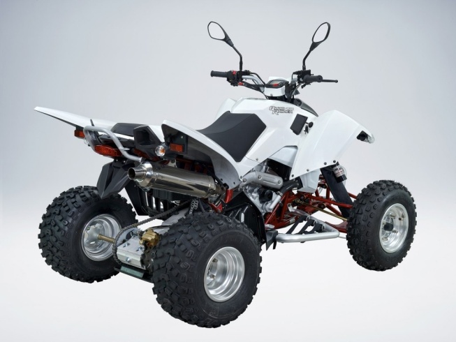 Квадроцикл QuadRaider 450
