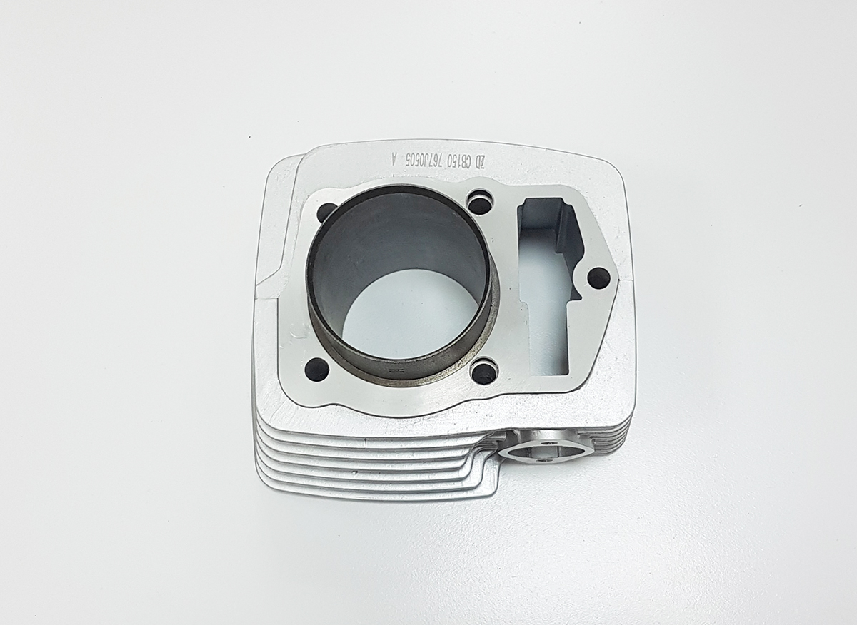 Цилиндр ДВС [100104374-0008] BSE ZS161FMJ