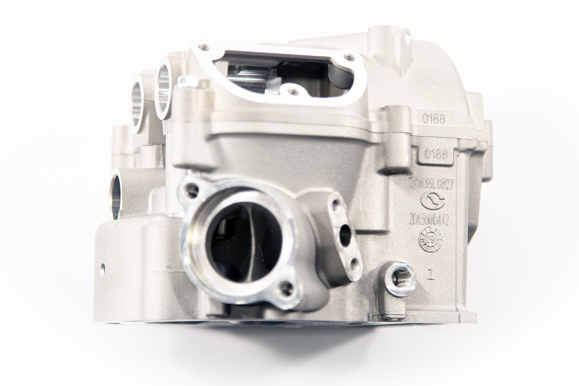 Головка блока цилиндра, ГБЦ в сборе BSE ZS194MQ