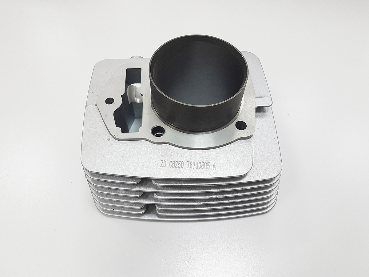 Цилиндр ДВС [100207672-0006] BSE ZS169FMM