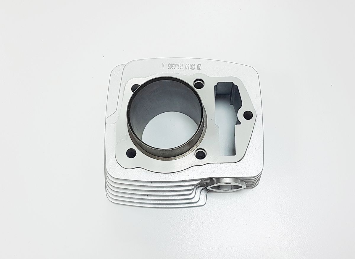 Цилиндр ДВС [100104374-0008] BSE ZS161FMJ