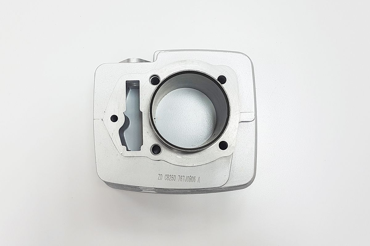 Цилиндр ДВС [100207672-0006] BSE ZS169FMM