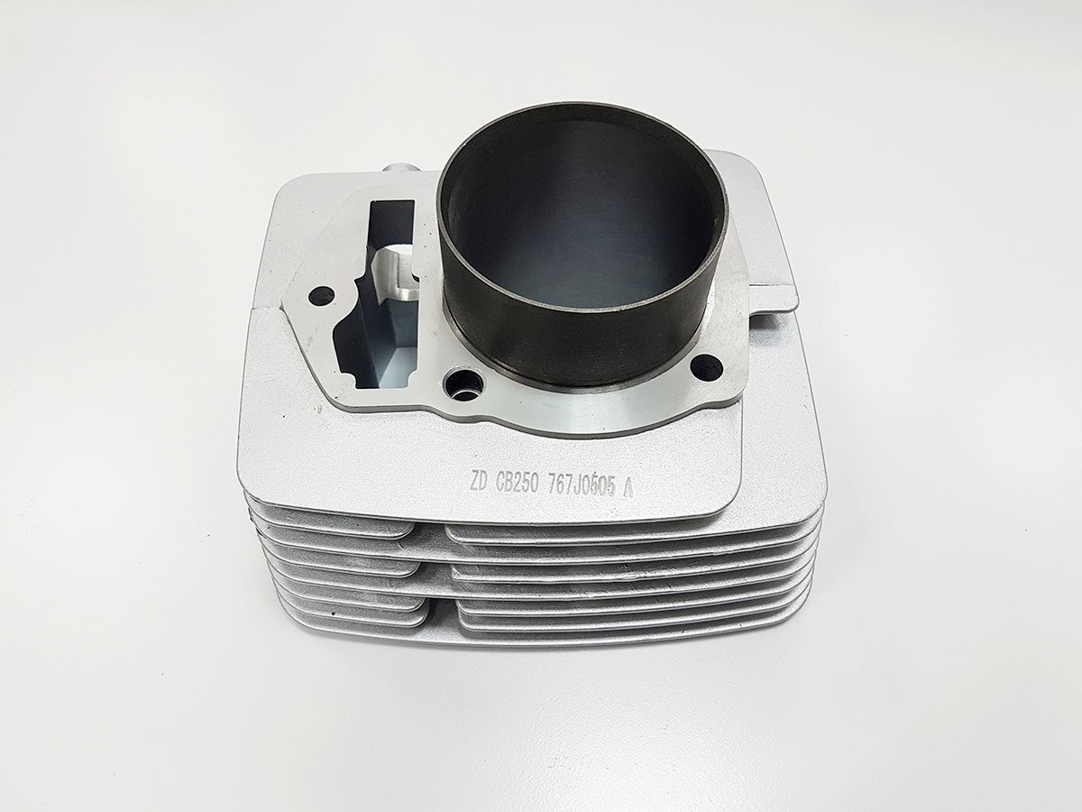 Цилиндр ДВС [100207672-0006] BSE ZS169FMM