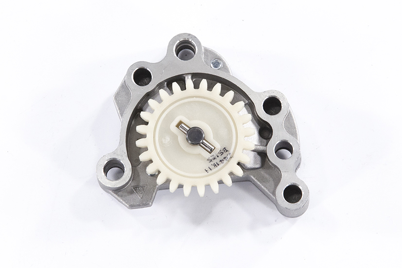 Насос масляный в сборе BSE ZS154FMI