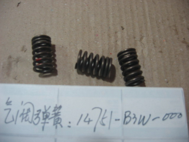 Пружина клапана SYM