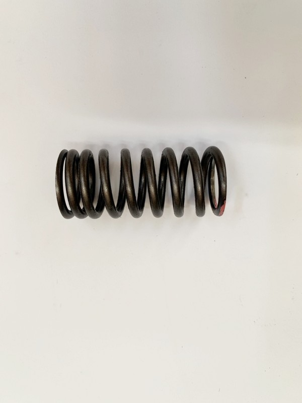 Пружина клапана SYM