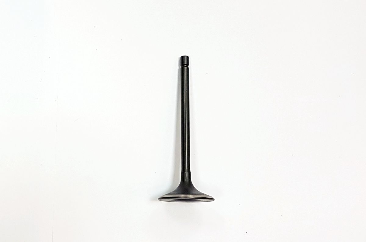 Клапан впускной [100108483] BSE ZS169FMM