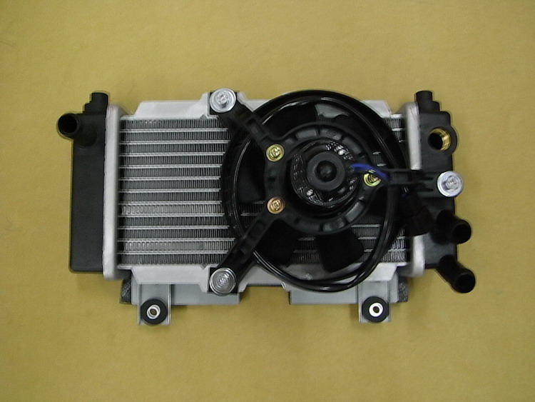 Радиатор в сборе SYM