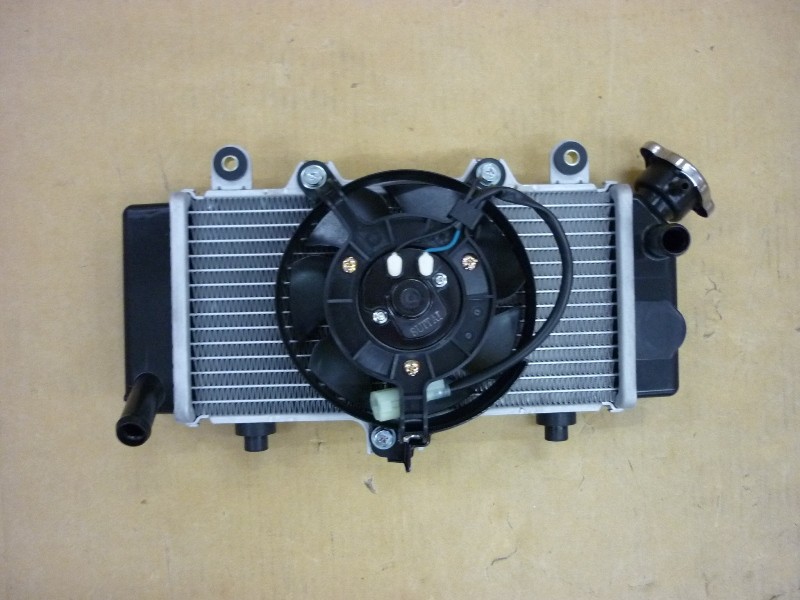 Радиатор системы охлаждения с вентилятором в сборе SYM Wolf 250