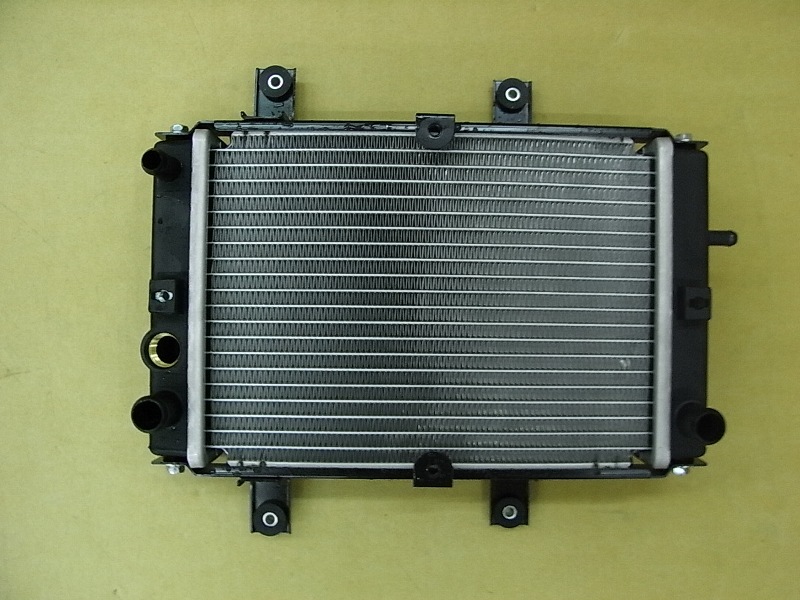 Радиатор в сборе SYM