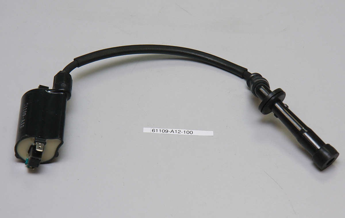 Катушка зажигания 450 Access