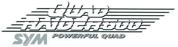 Наклейка на пластик боковой правый SYM