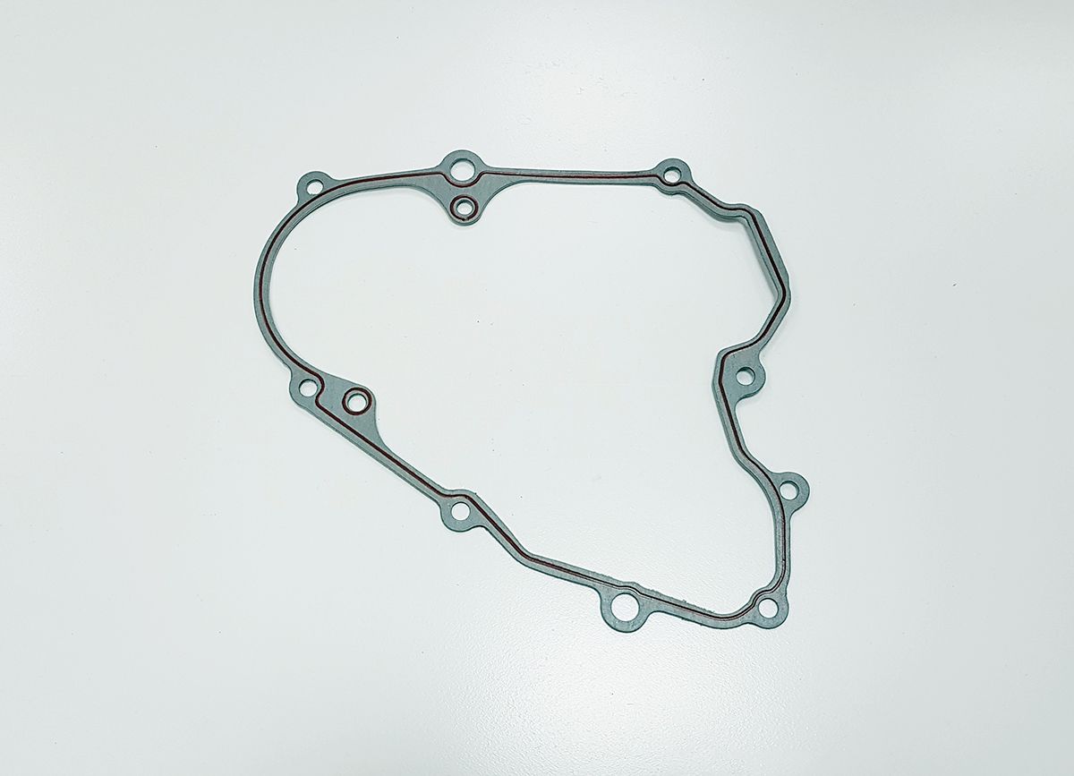 Прокладка левой крышки [100064033] BSE ZS177MM