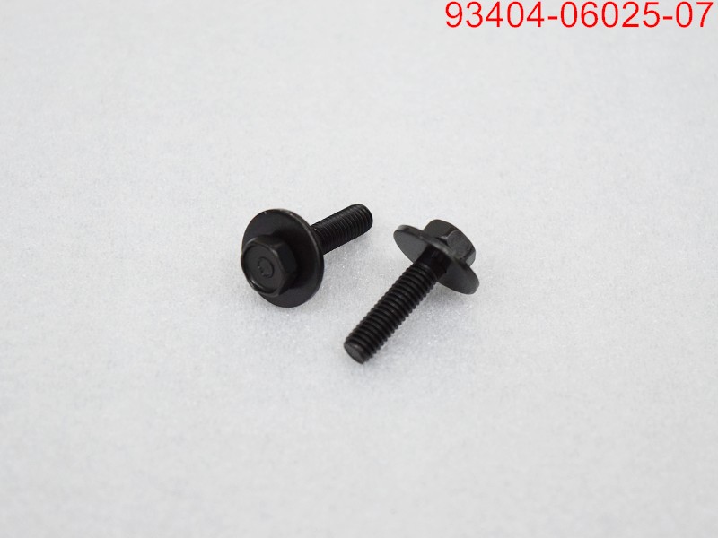 Болт с шайбой 6х25 SYM