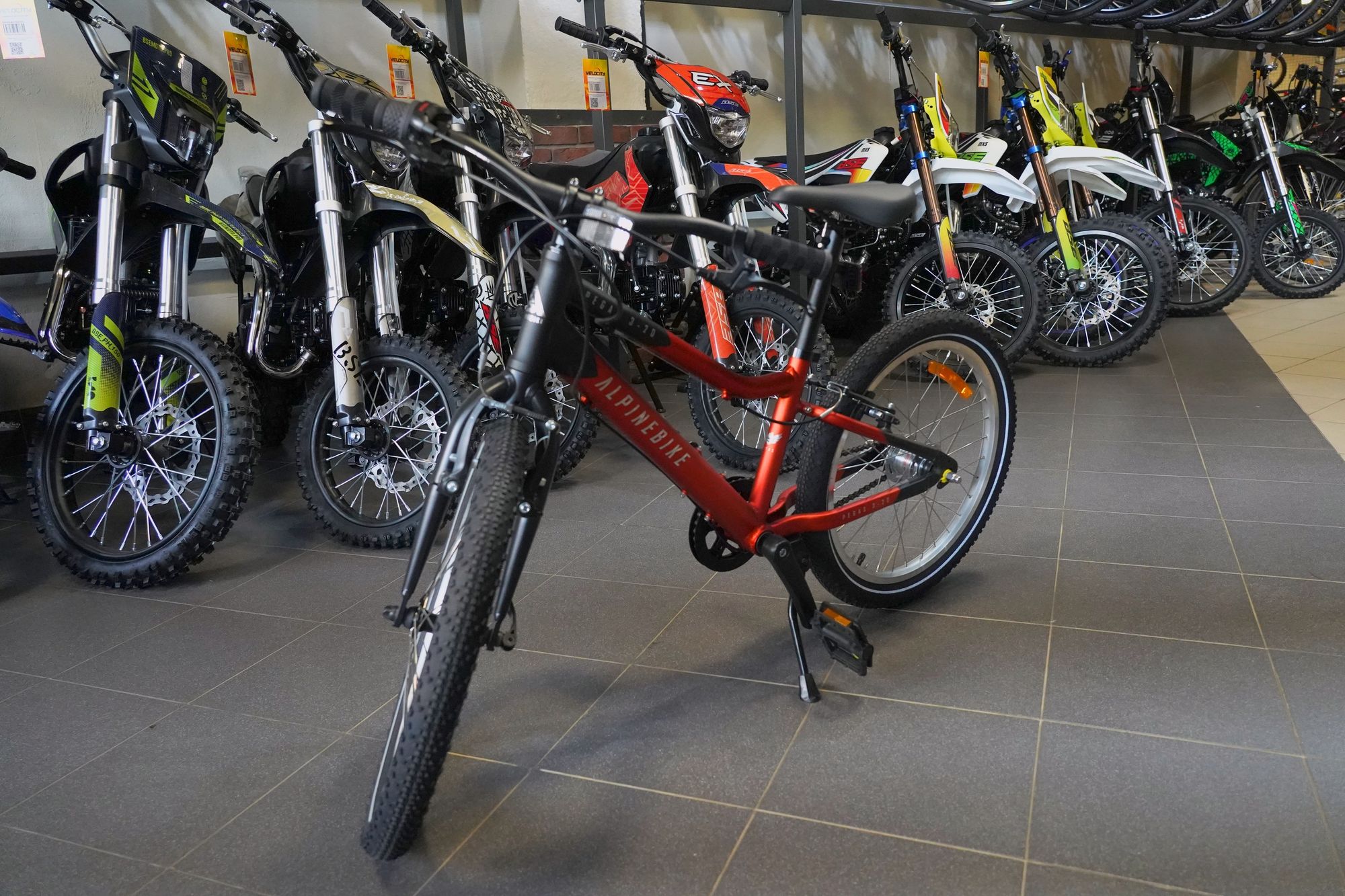 Велосипед детский Alpinebike Pegas 3-20 рассветный оранжевый