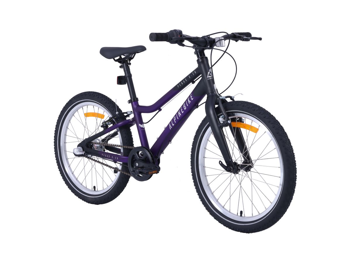 Велосипед детский Alpinebike Pegas 3-20 фиолетовый космос