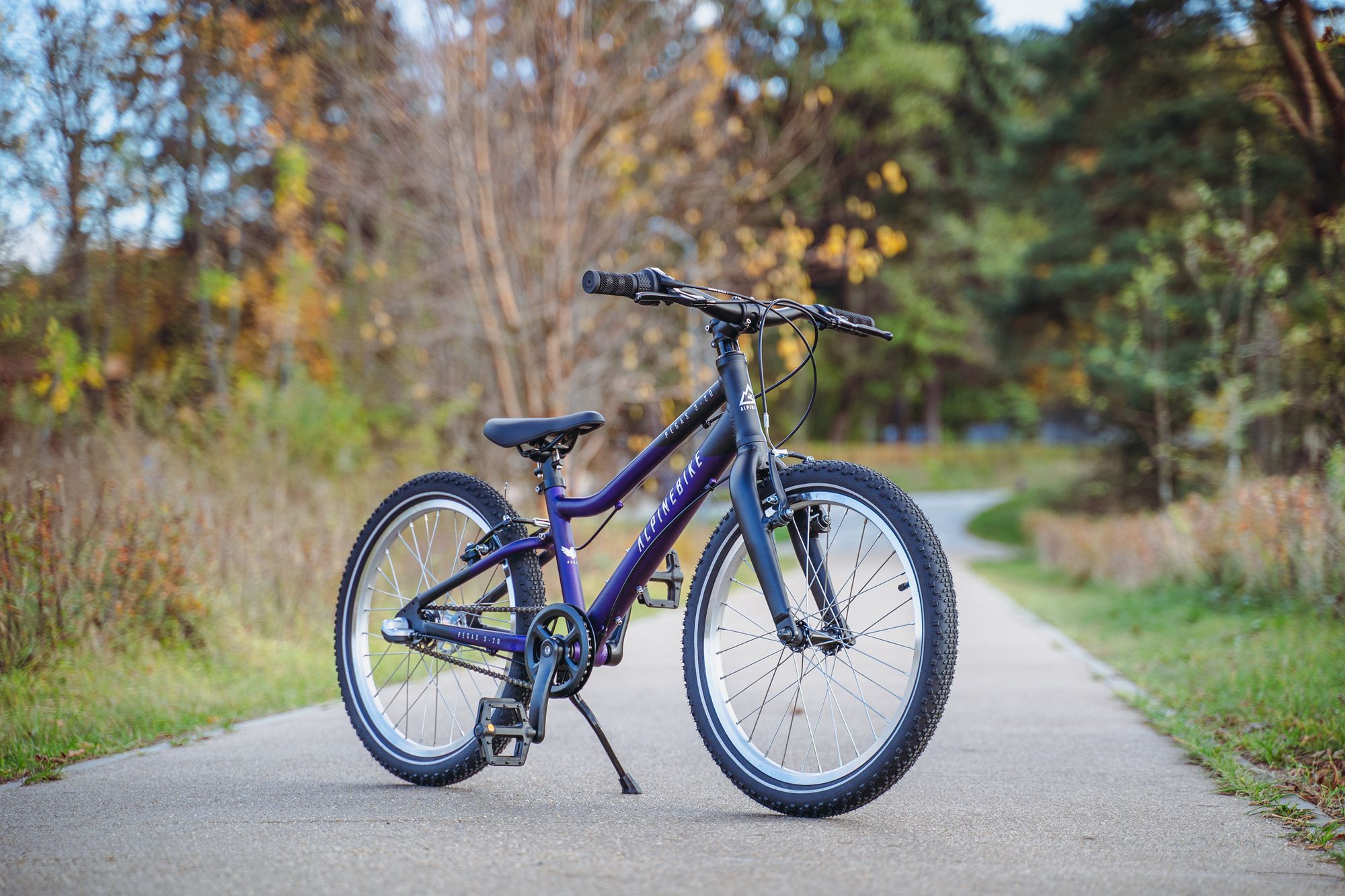 Велосипед детский Alpinebike Pegas 3-20 фиолетовый космос