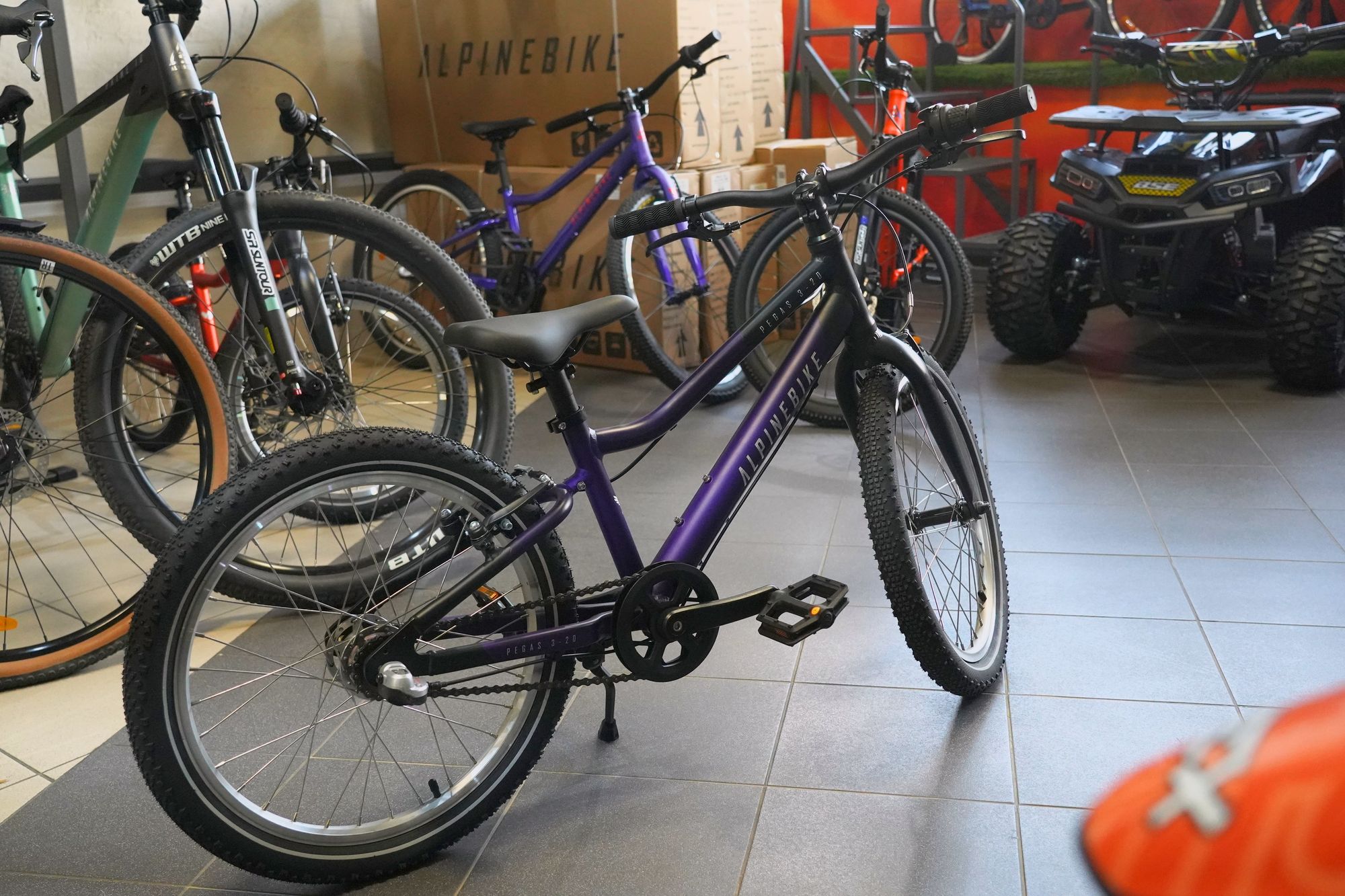 Велосипед детский Alpinebike Pegas 3-20 фиолетовый космос