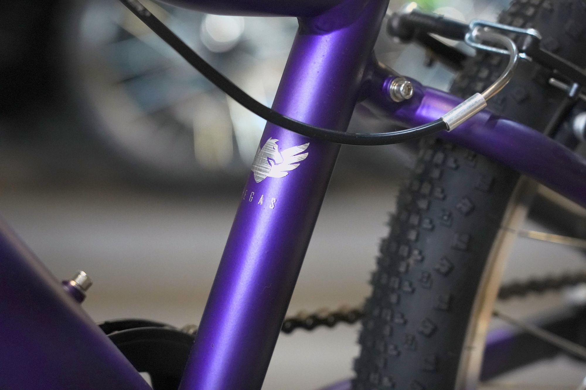 Велосипед детский Alpinebike Pegas 3-20 фиолетовый космос