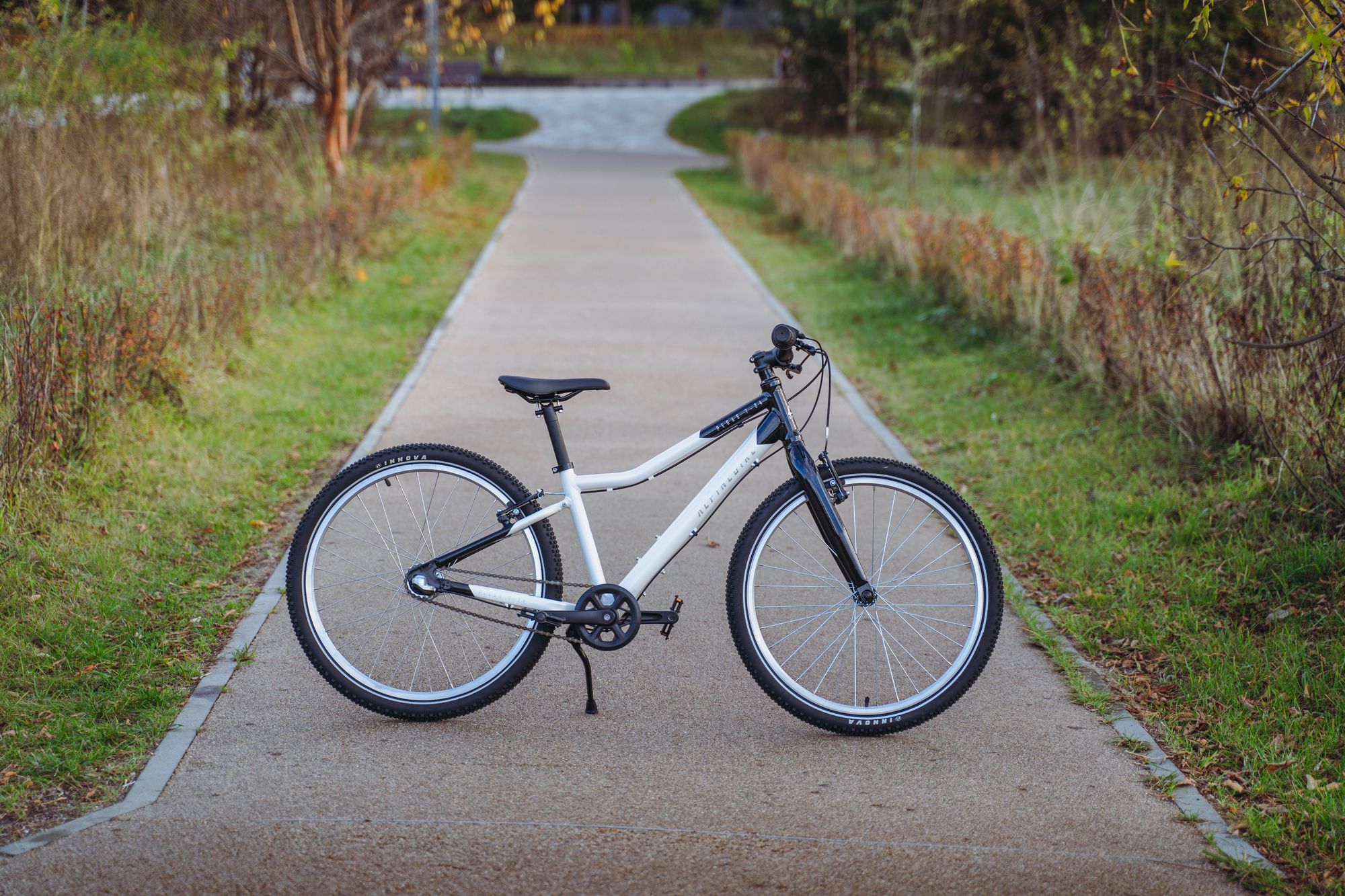 Велосипед подростковый Alpinebike Pegas 3-24 белый мрамор