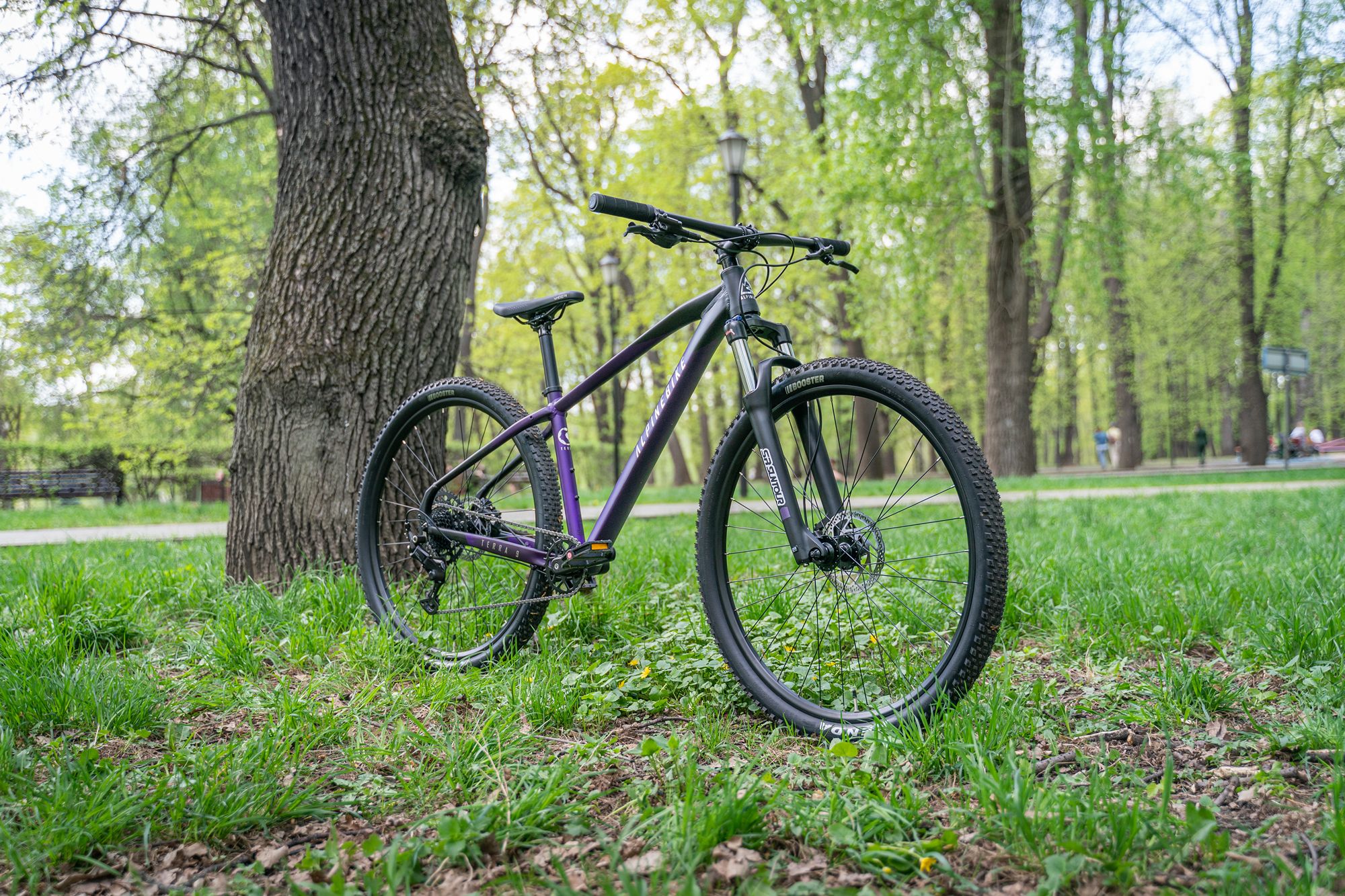 Велосипед горный Alpinebike Terra 9 фиолетовый космос