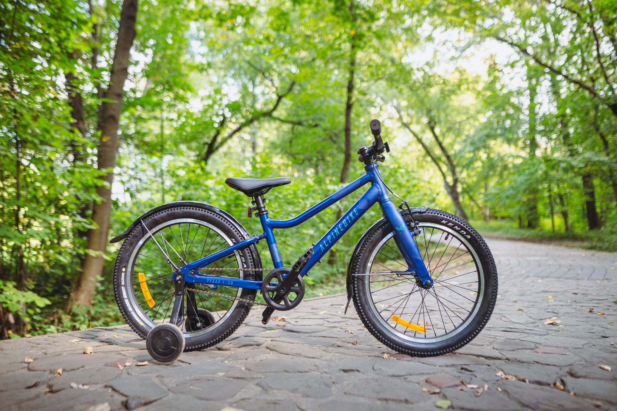 Велосипед детский Alpinebike Pegas 1-20, один размер, цвет Синий