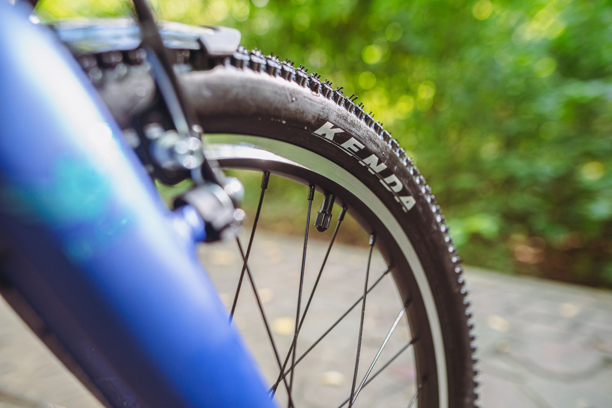 Велосипед детский Alpinebike Pegas 1-20, один размер, цвет Синий