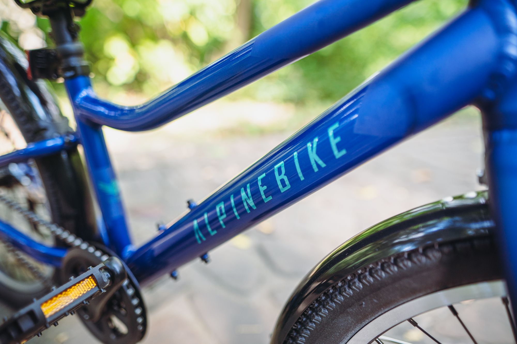 Велосипед детский Alpinebike Pegas 1-20, один размер, цвет Синий