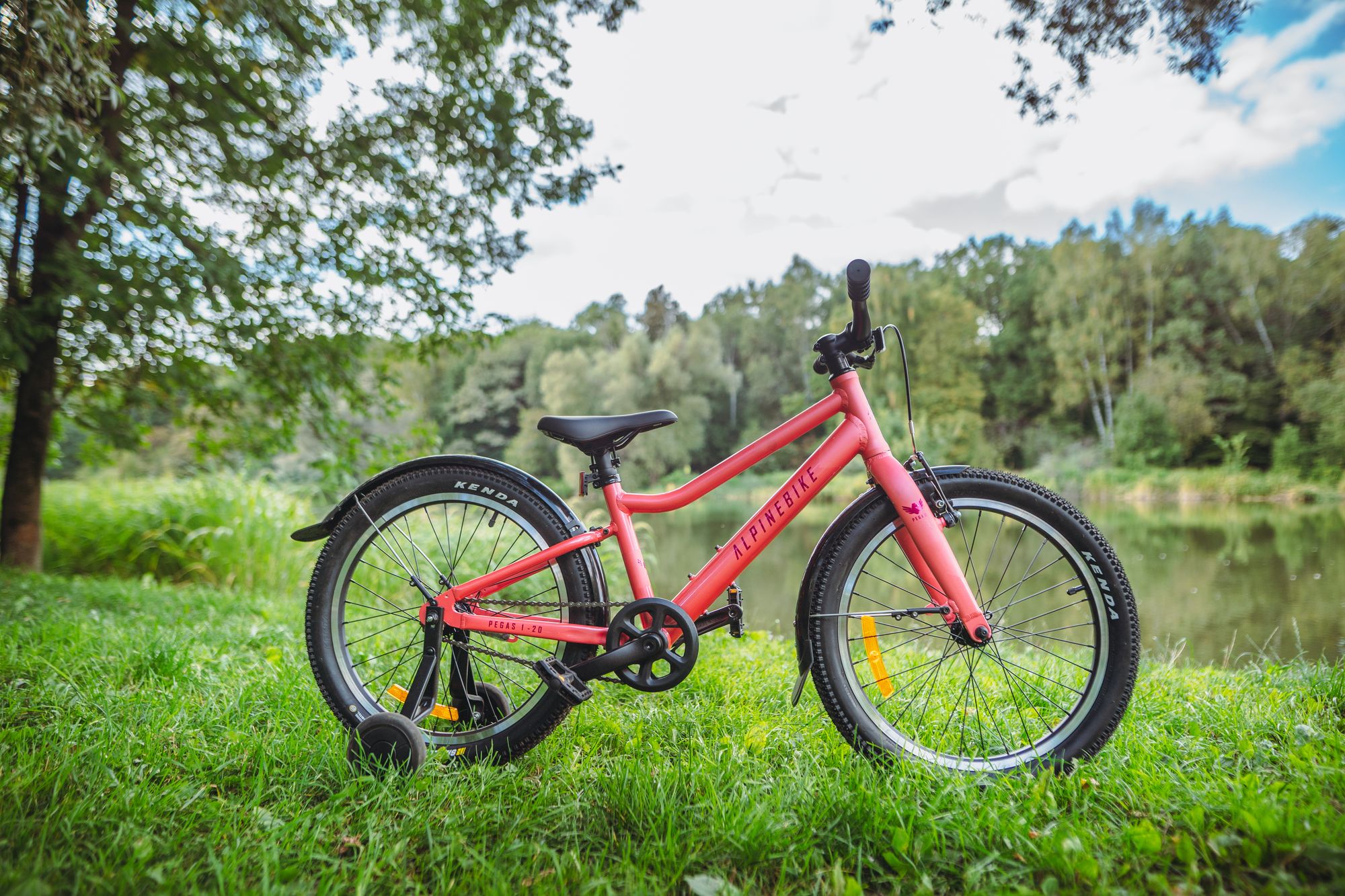 Велосипед детский Alpinebike Pegas 1-20, один размер, цвет Розовый