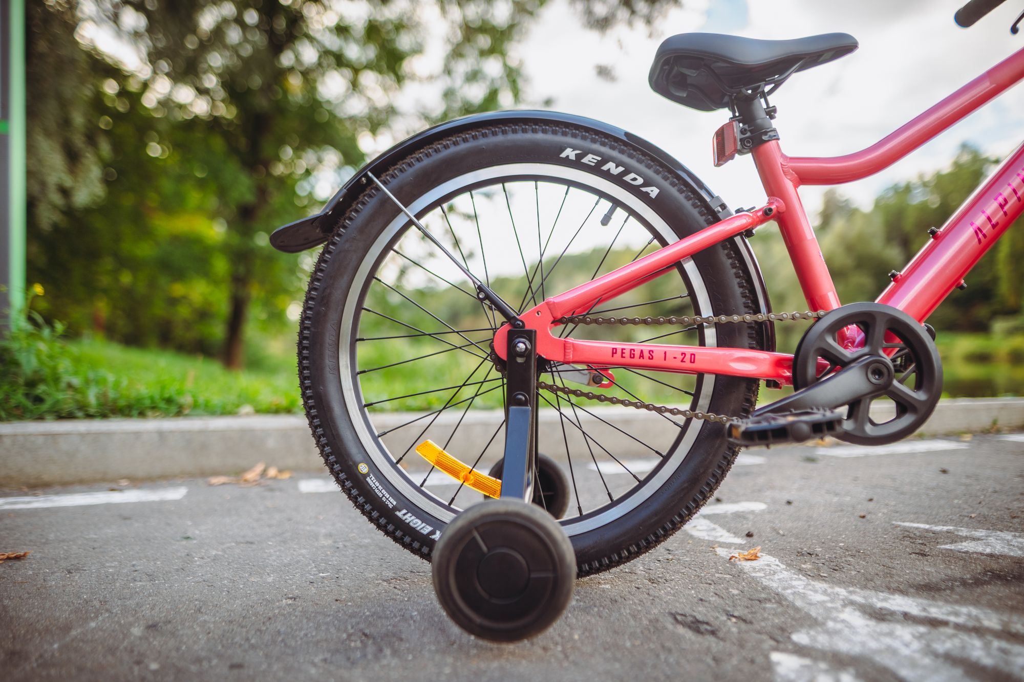 Велосипед детский Alpinebike Pegas 1-20, один размер, цвет Розовый