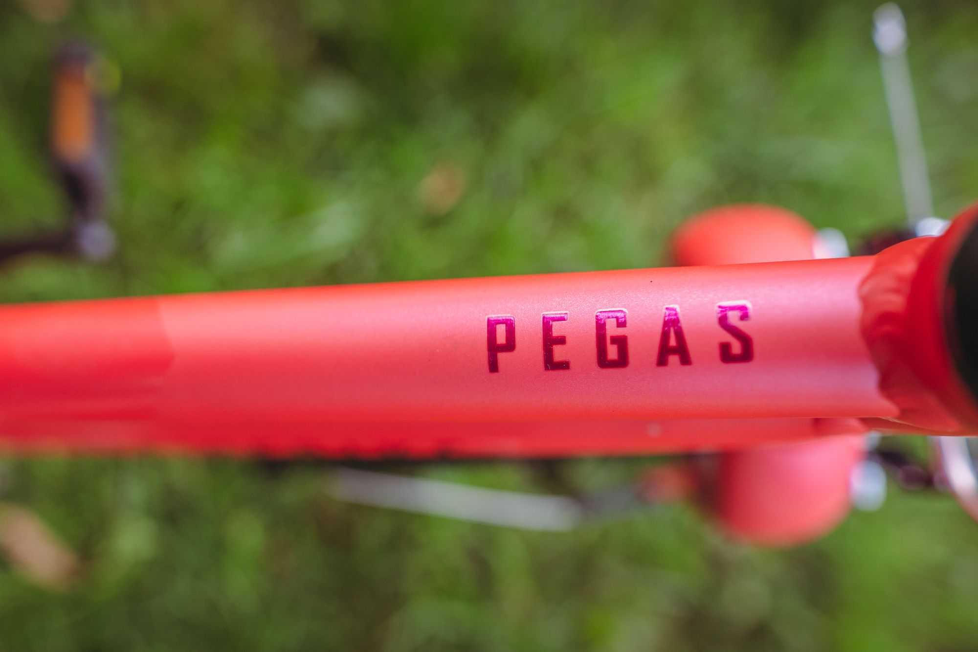 Велосипед детский Alpinebike Pegas 1-20, один размер, цвет Розовый