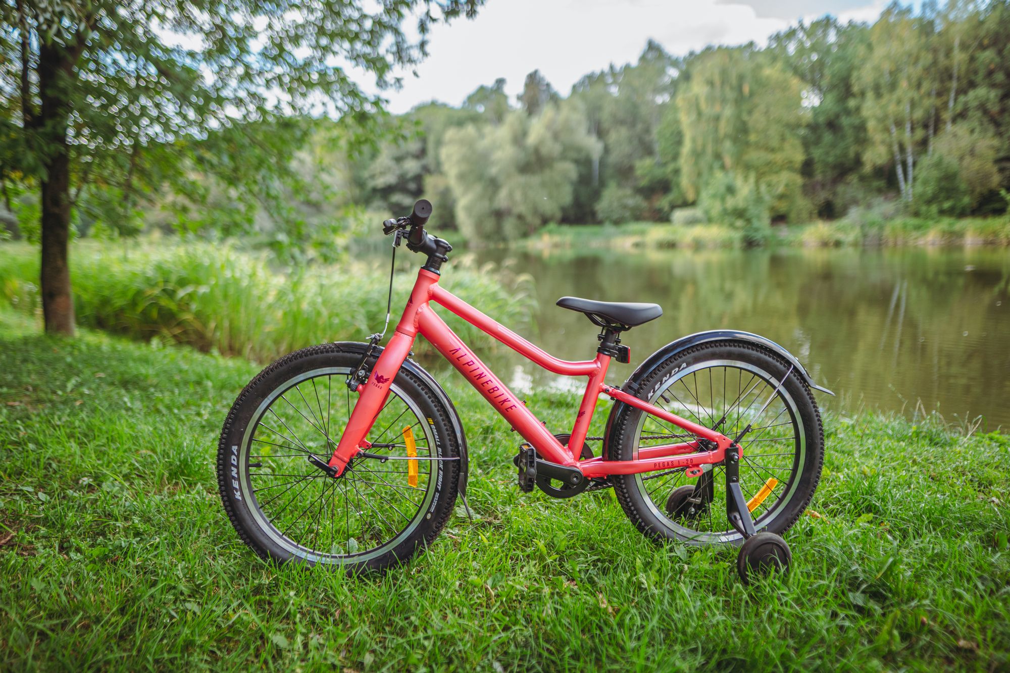 Велосипед детский Alpinebike Pegas 1-20, один размер, цвет Розовый