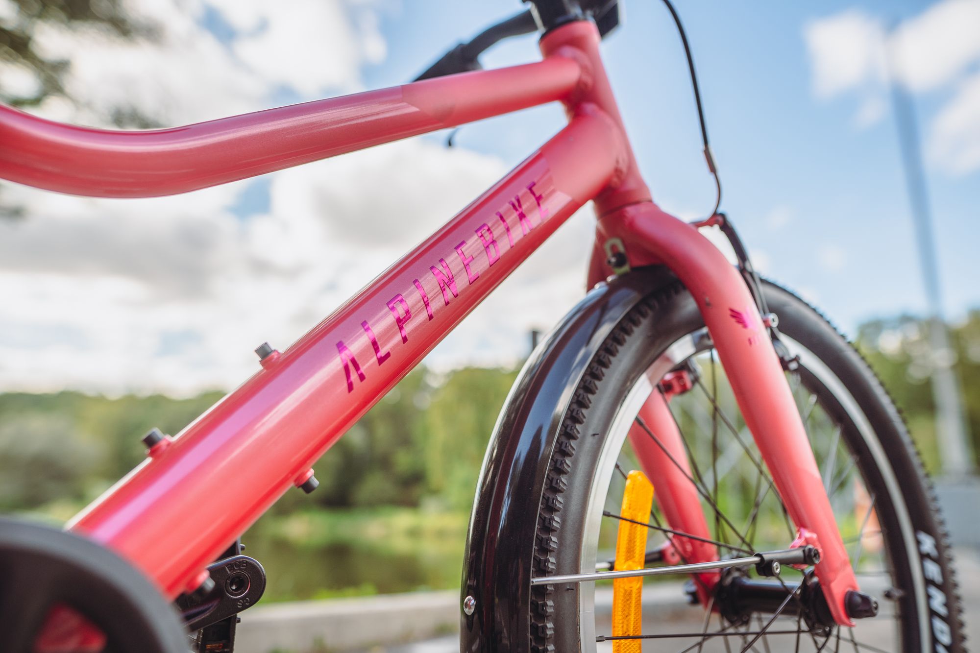 Велосипед детский Alpinebike Pegas 1-20, один размер, цвет Розовый