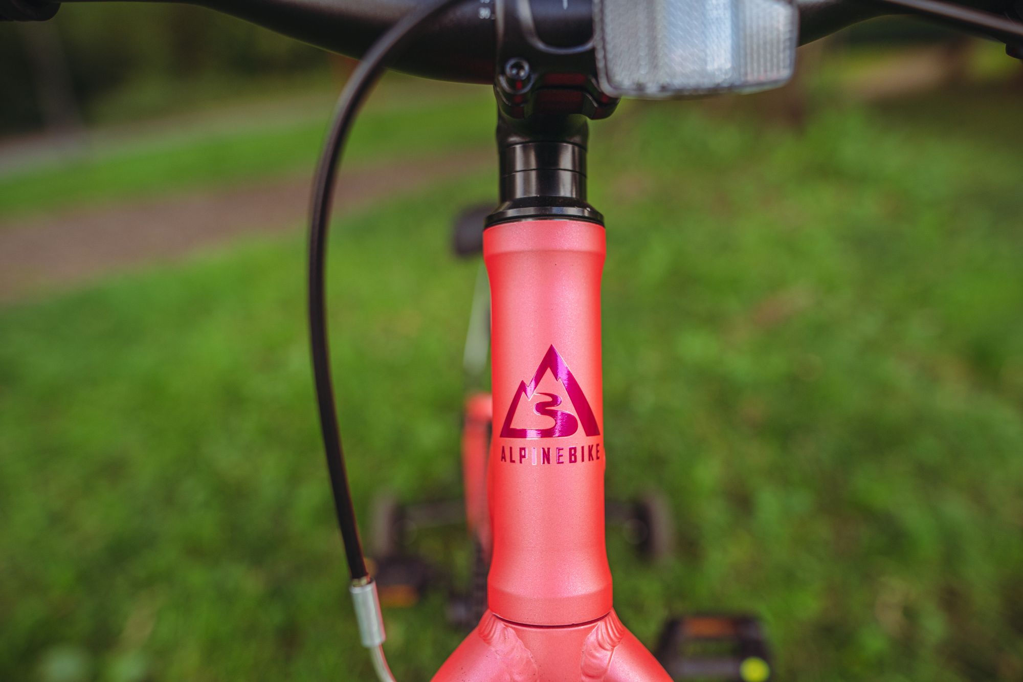 Велосипед детский Alpinebike Pegas 1-20, один размер, цвет Розовый