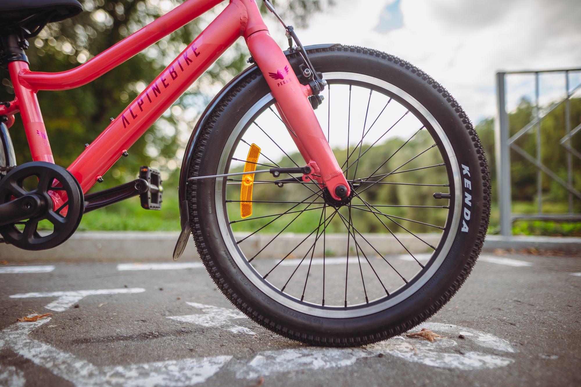 Велосипед детский Alpinebike Pegas 1-20, один размер, цвет Розовый