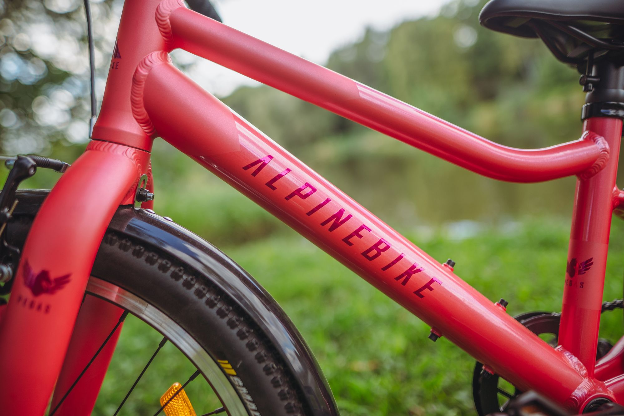 Велосипед детский Alpinebike Pegas 1-20, один размер, цвет Розовый