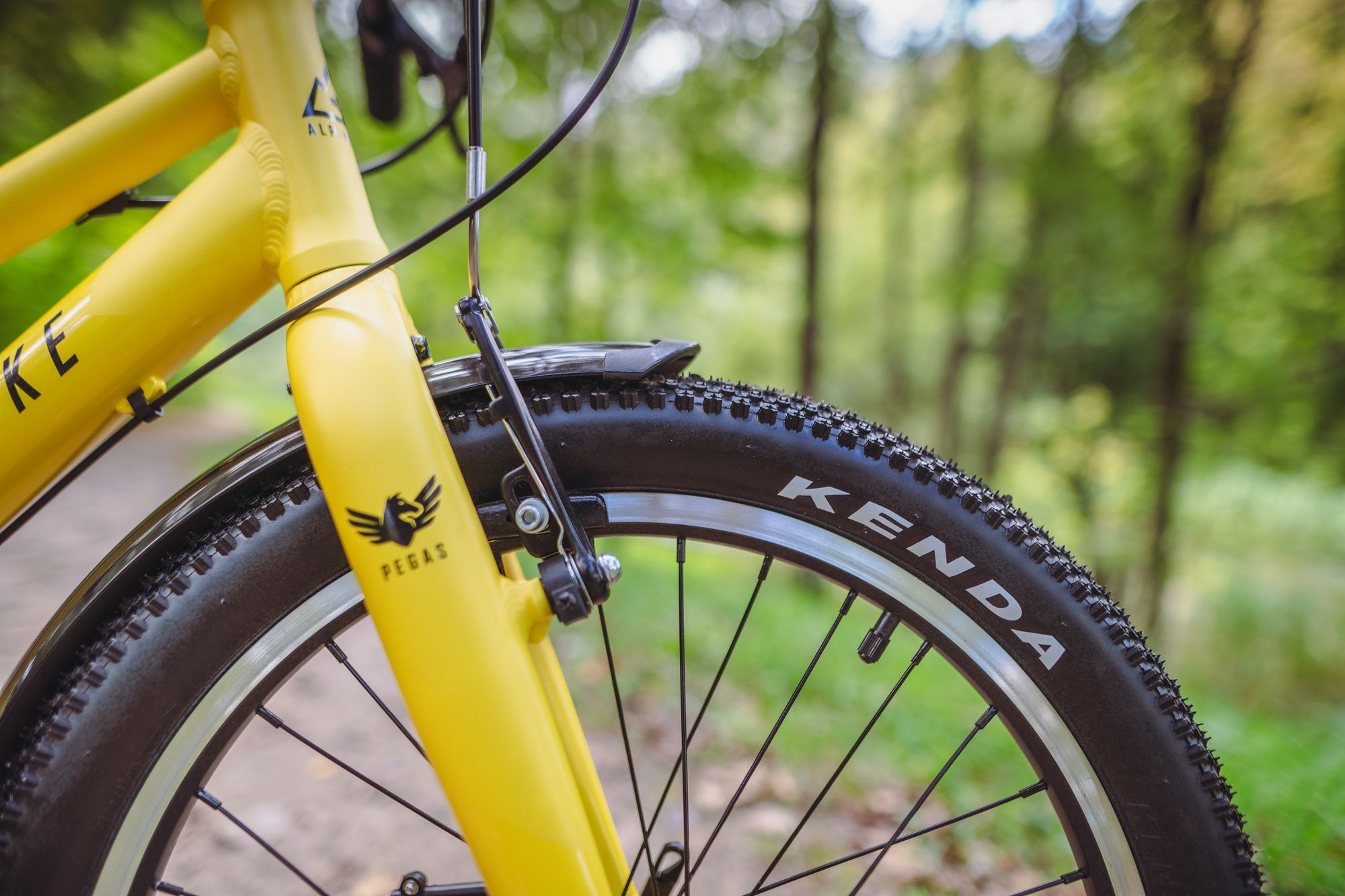 Велосипед детский Alpinebike Pegas 3-20, один размер, цвет Желтый